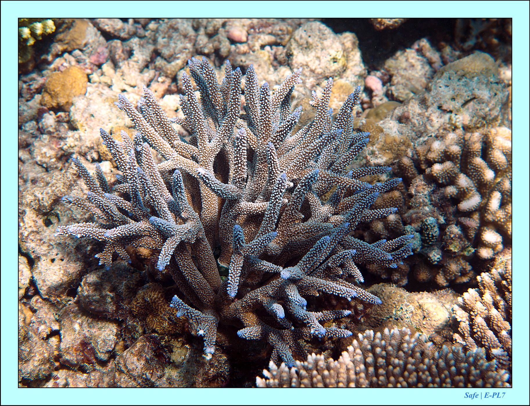 2023 - 07 - Sandies Bathala - 239